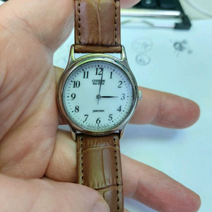 시티즌 에코드라이브 남성 가죽시계 이미지