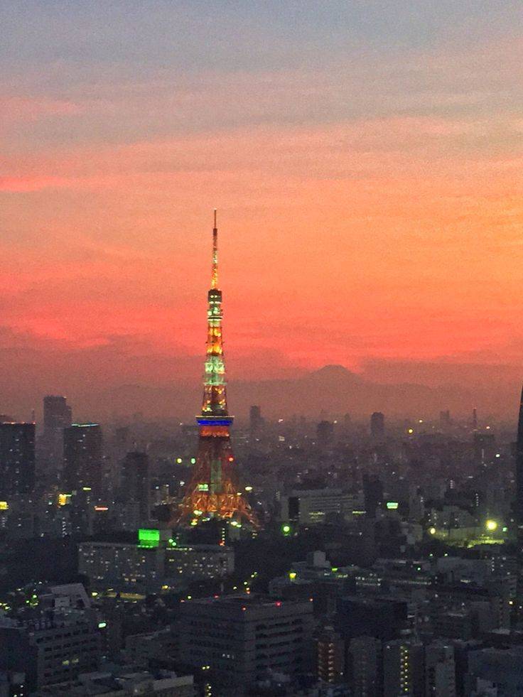 시부야스카이 4월 일몰 야간 시간대 입장권 이미지