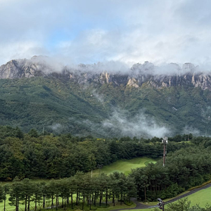 쿠팡 80% 구해요 이미지