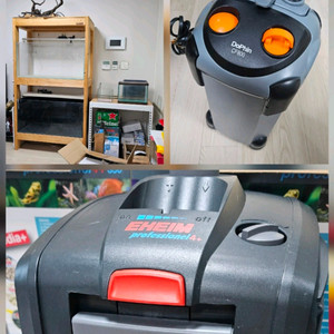 [급처/일괄] 에하임 여과기 2대 + 축양장/어항 풀세트 + 용품 전부 넘깁니다 (용달필수) 이미지