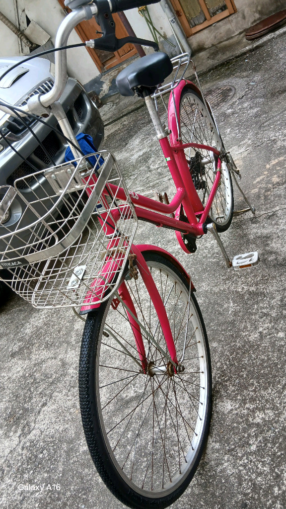 티티카카 클래식 여성 자전거 이미지