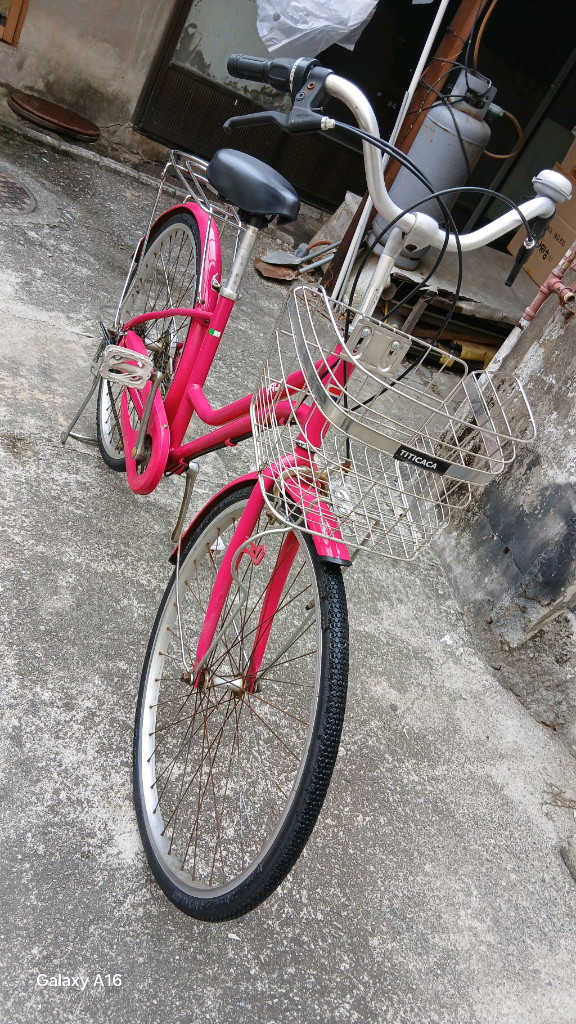 티티카카 클래식 여성 자전거 이미지