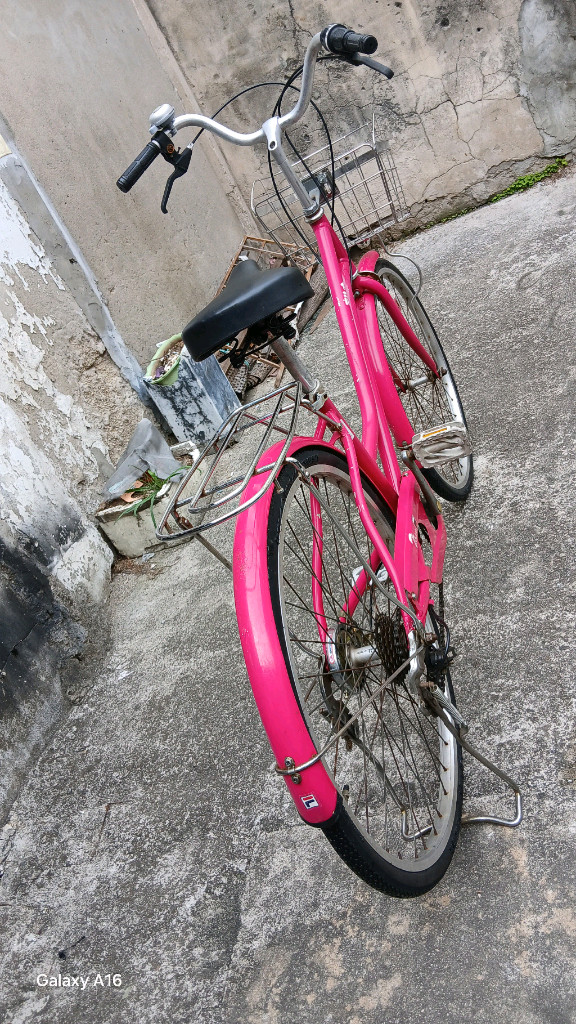 티티카카 클래식 여성 자전거 이미지