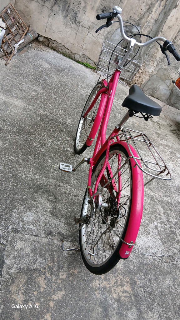 티티카카 클래식 여성 자전거 이미지