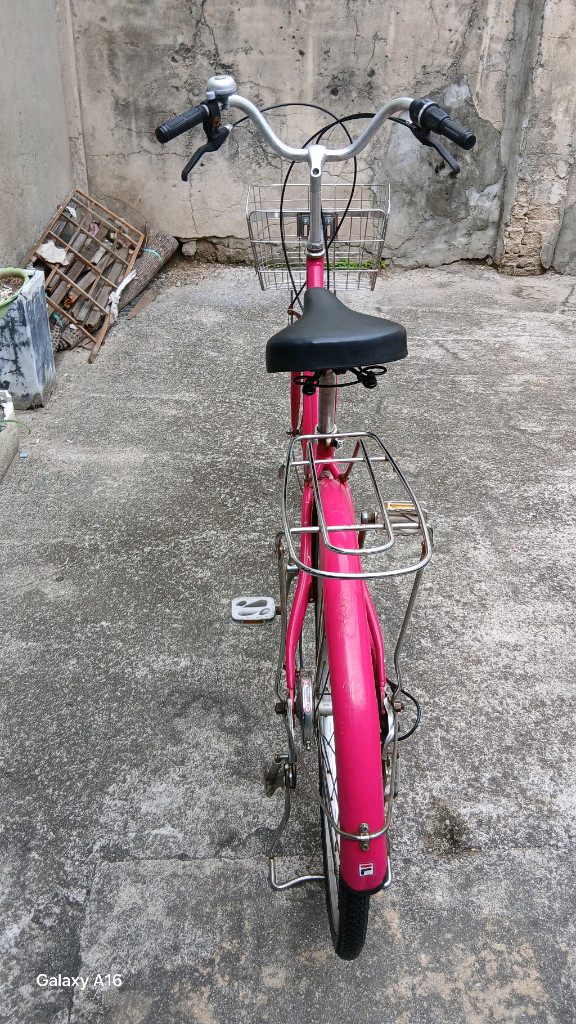 티티카카 클래식 여성 자전거 이미지