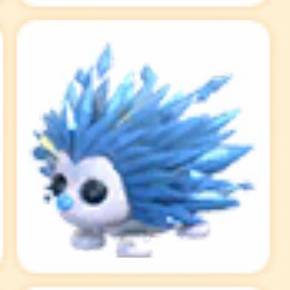 입양하세요 얼음호저 펫 이미지