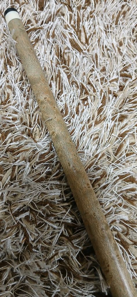 당구큐대 이미지