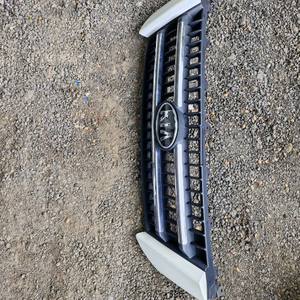 그랜드카니발 그릴 이미지