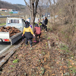 보도블럭 이미지