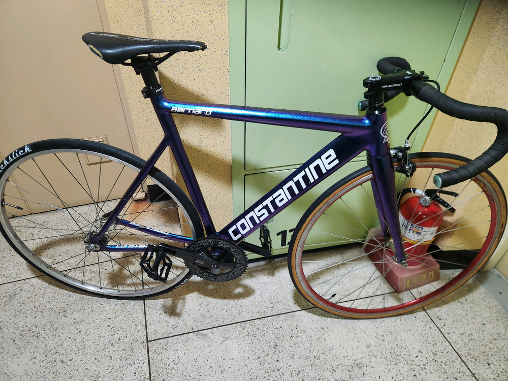 콘스탄틴 버나드2023 카멜 픽시 자전거 이미지