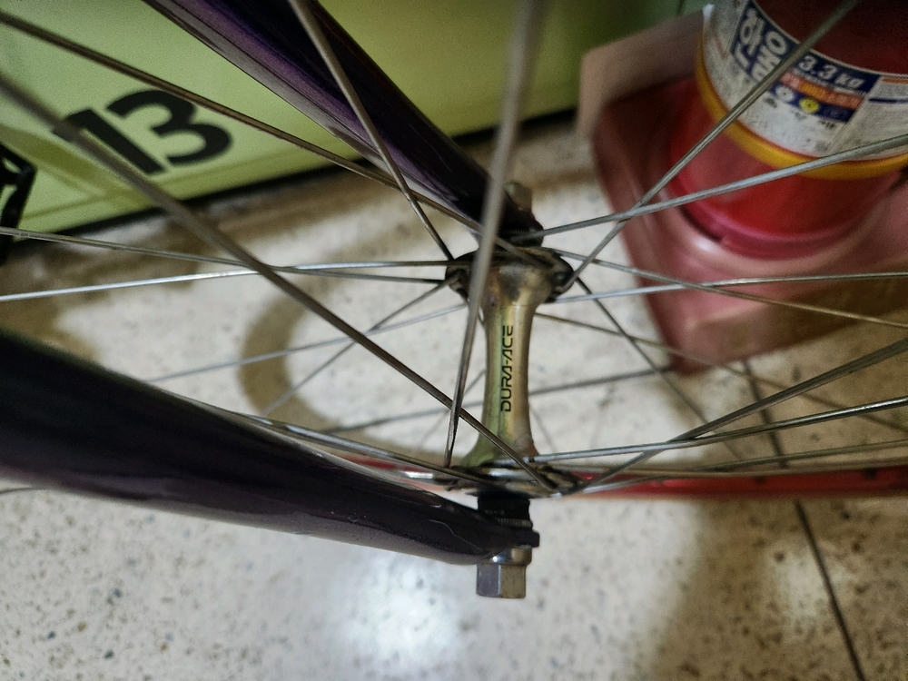 콘스탄틴 버나드2023 카멜 픽시 자전거 이미지