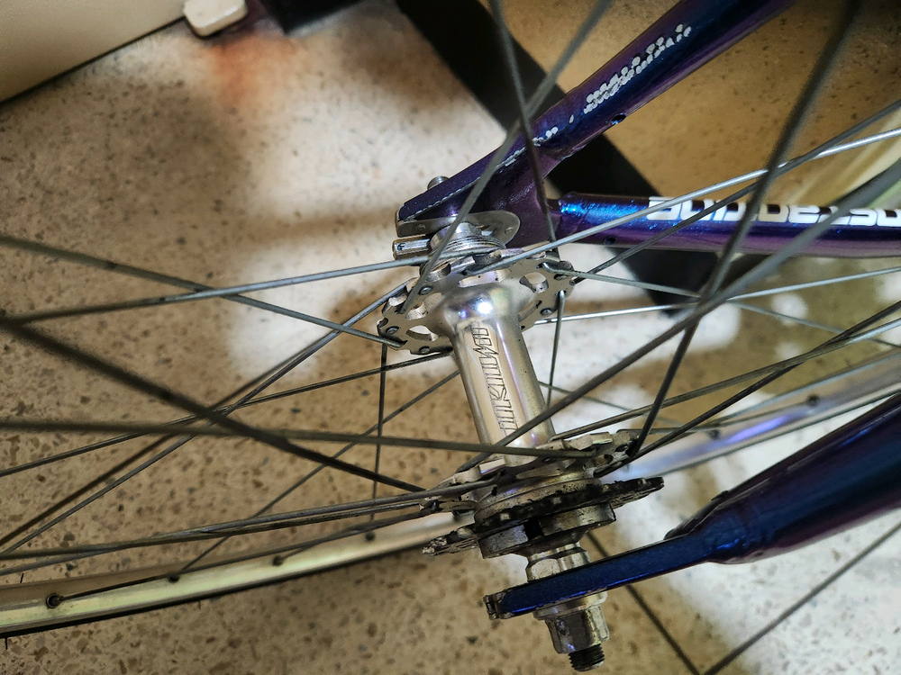 콘스탄틴 버나드2023 카멜 픽시 자전거 이미지