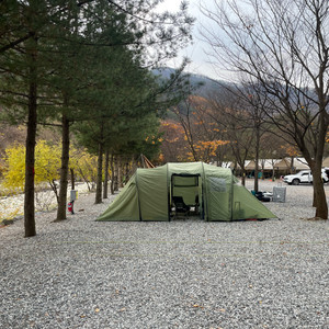 노르디스크 레이사6 더스티그린 캠핑 텐트 이미지