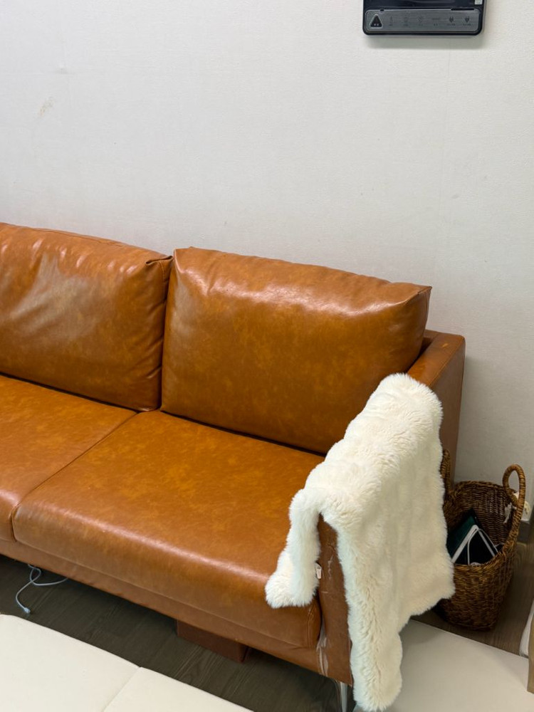 브라운소파 1인용+4인용 무료나눔 이미지