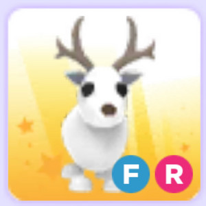 입양하세요 펫 흰순록 팔아요 이미지