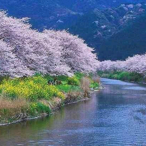 피망 뉴맞고 머니 삽니다 이미지