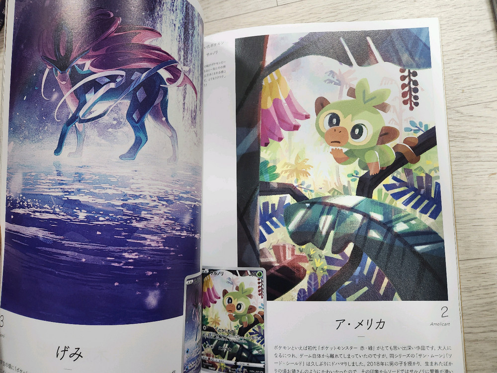 포켓몬스터 카드게임 일러스트레이션 잡지 이미지