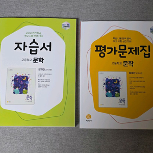 지학사문학자습서 지학사문학평가문제집 이미지