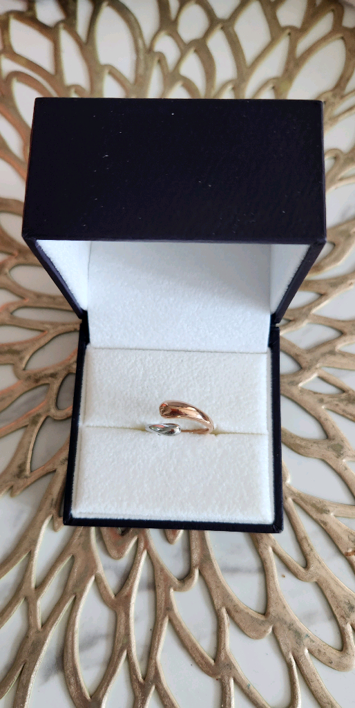 제이에스티나 아이유 반지 귀걸이( 완전새제품도 있음) 실버~ 이미지