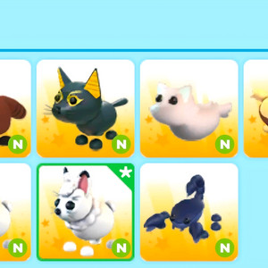 입양하세요 네온펫들 팔아요 이미지