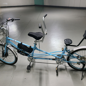 2인용 전기자전거 이미지