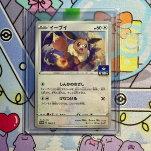 포켓몬 카드 이브이 PROMO 이미지