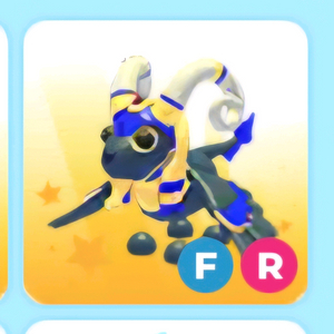 입양하세요 크리오 스핑크스 이미지