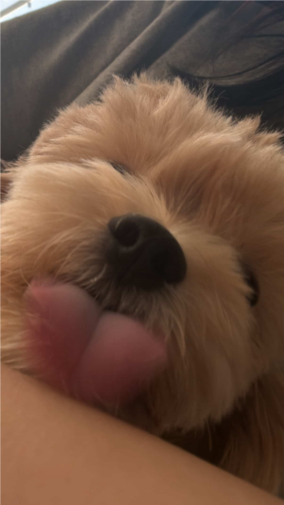 프로필 이미지