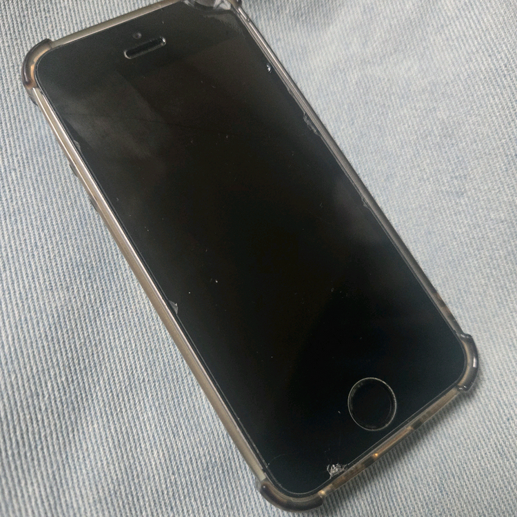 아이폰 se1 스그 이미지