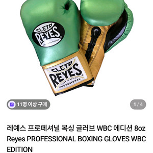 례예스 글러브 이미지