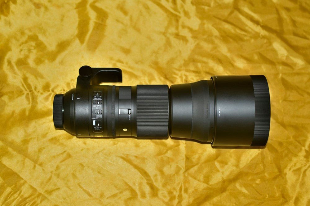 시그마 렌즈 150-600mm, F5-6.3. 니콘 마운트(도트 사이트 포함) 이미지