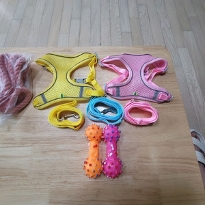 강아지 하네스 이미지