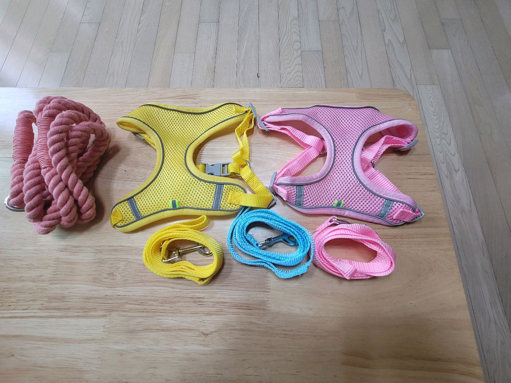 강아지 하네스 이미지