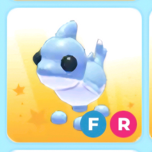 입양하세요 상어강아지 이미지