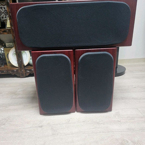 모니터 오디오 gs10 골드 시그니쳐 북쉘프 스피커 이미지