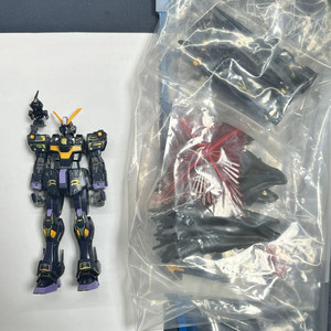 (완성품) RG 크로스본 건담 X2 + 앵무새(추가파츠) 이미지
