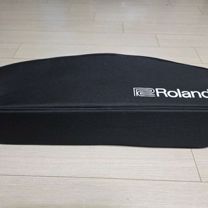 롤랜드 에어로폰 AE-10 이미지