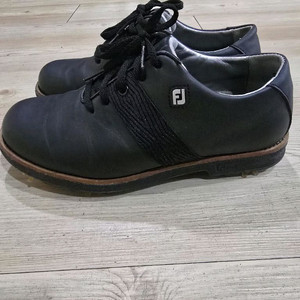 풋조이 골프 프리미어 가죽골프화 220W 225mm 이미지