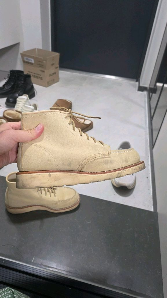 레드윙 여성 3328 7.5b사이즈(245) 판매합니다 이미지