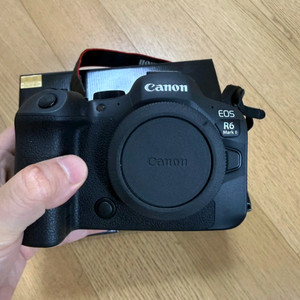 캐논 eos r6mark2 + rf 24-70mm f2.8 L is usm 이미지