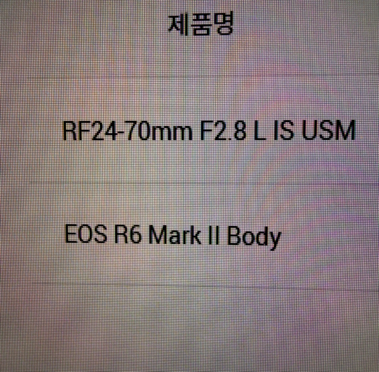 캐논 eos r6mark2 + rf 24-70mm f2.8 L is usm 이미지
