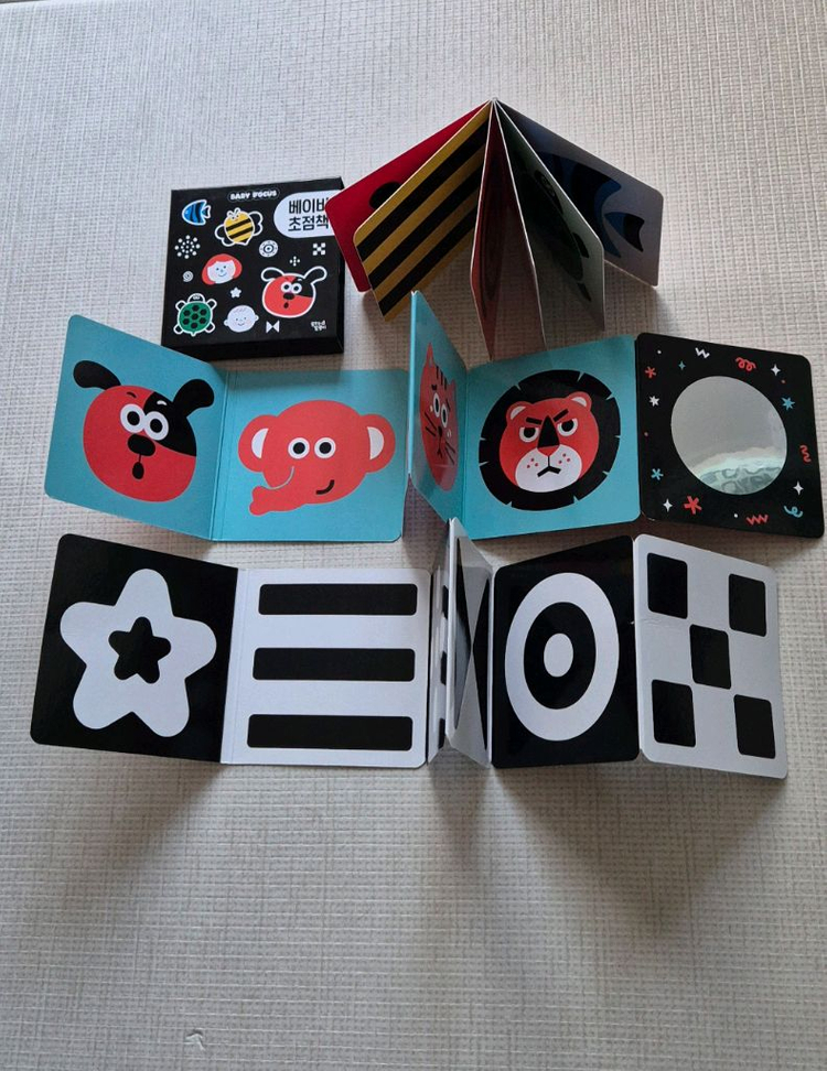 베이비초점책 아기초첨책(상태좋음) 이미지