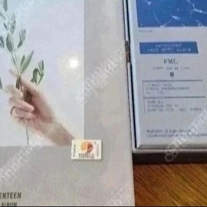 중고/세븐틴 정규 2집+미니 10집앨범 일괄 이미지