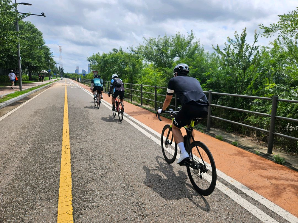 20년식 트렉마돈sl6 56사이즈 이미지