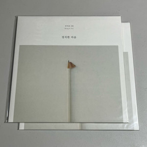 강아솔 2집 정직한 마음 LP 2016 서울레코드페어 이미지