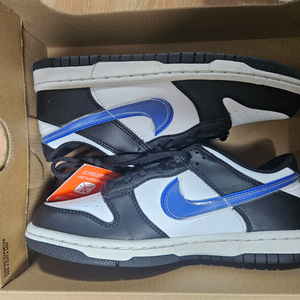 나이키 덩크 로우 넥스트 네이처 GS 225 이미지