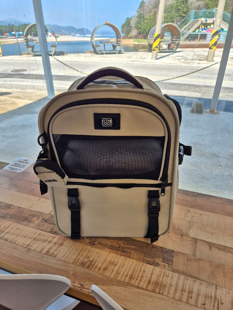 강아지 고양이 백팩 이동장 이동가방 코코백 아이보리 이미지