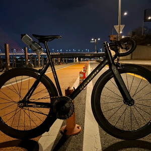 언노운 type1 타입1 픽시 완차 판매/대차. 로드 대차 이미지