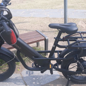 2025년 3월 알톤 코디악 전기자전거 이미지