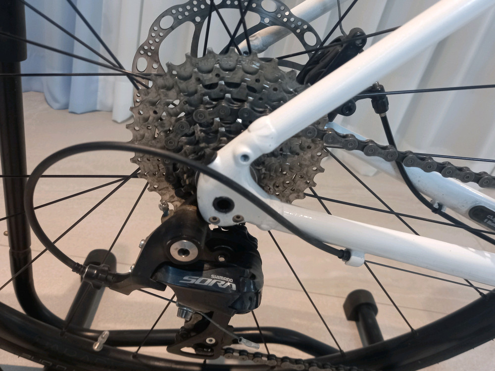 [신품급] 2022 트렉 도마니 AL3 로드자전거(풀옵션) 이미지